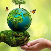 Đề thi thử THPT Quốc gia năm 2025 môn Địa lí trường THPT Lê Quý Đôn, Hải Phòng