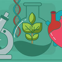 Đề thi thử THPT Quốc gia năm 2025 môn Sinh học sở GD&ĐT Hải Phòng
