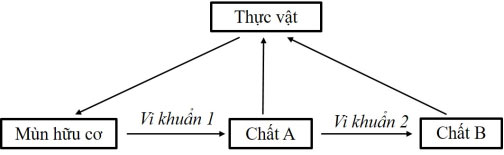 Đề thi thử tốt nghiệp THPT 2025 môn Sinh học