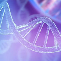 Đề thi thử THPT Quốc gia năm 2025 môn Sinh học sở GD&ĐT Quảng Ninh