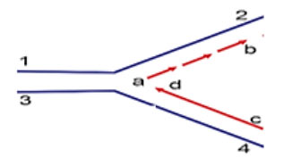 Đề thi thử tốt nghiệp THPT 2025 môn Sinh học