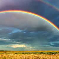 Viết 2 - 3 câu giải thích hiện tượng Vì sao có cầu vồng