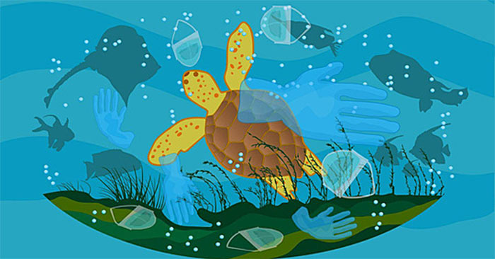 Bào vệ đại dương