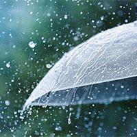 Đoạn văn tả cảnh bắt đầu một trận mưa rào (3 mẫu)