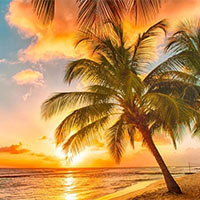 Viết bài văn tả một ngày nắng đẹp