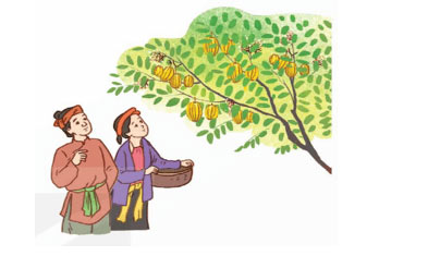 Luyện tập về liên kết câu trong đoạn văn