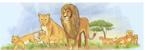 Viết hoa danh từ chung để thể hiện sự tôn trọng đặc biệt