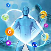 Giáo án PowerPoint Khoa học 5 Bài 27: Ôn tập chủ đề Con người và sức khoẻ