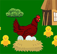 Giáo án mầm non: Bài thơ Gà mẹ đếm con