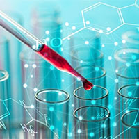 Đề thi thử THPT Quốc gia 2025 môn Hóa học trường THPT Chuyên Phan Bội Châu, Nghệ An