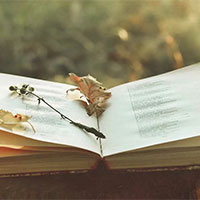 Cách làm phần đọc hiểu thơ