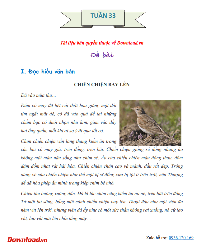 CD5 Tuan 33 1*644551