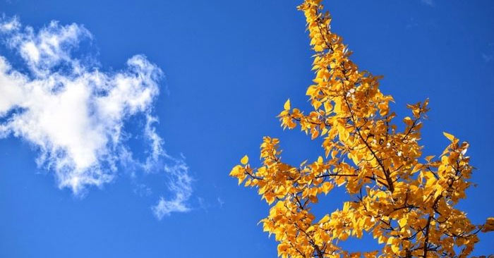 Bầu trời mùa thu