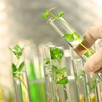 Đề thi thử THPT Quốc gia năm 2025 môn Sinh học sở GD&ĐT Hà Tĩnh