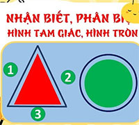 Giáo án mầm non: Nhận biết hình tròn, hình tam giác