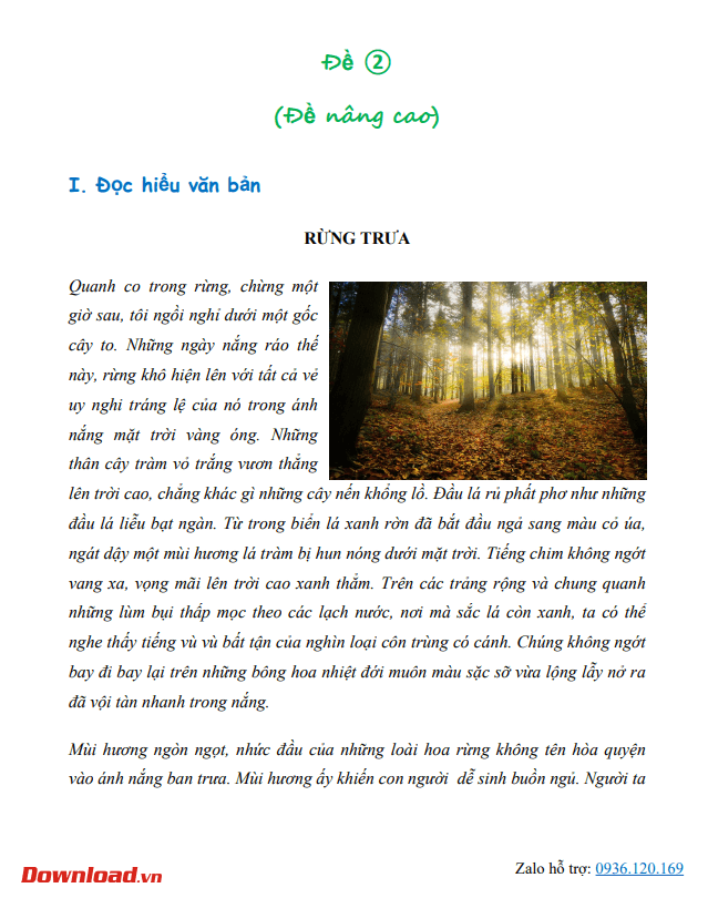 CD3 Tuan 34 3*645687