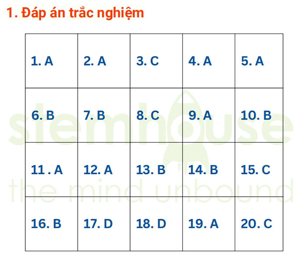 Đáp án đề thi Tuyển sinh lớp 6 Trường Nguyễn Hữu Thọ