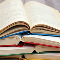 Bộ đề thi vào lớp 6 trường THCS & THPT Đông Du năm 2024 - 2025