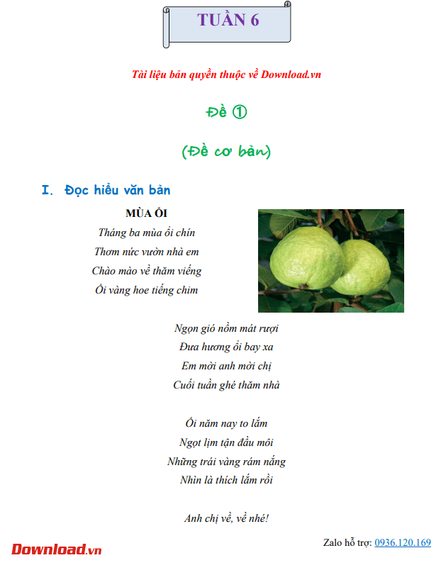 CD4 Tuan 6 1*648037