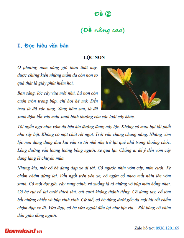 CD4 Tuan 6 3*648038