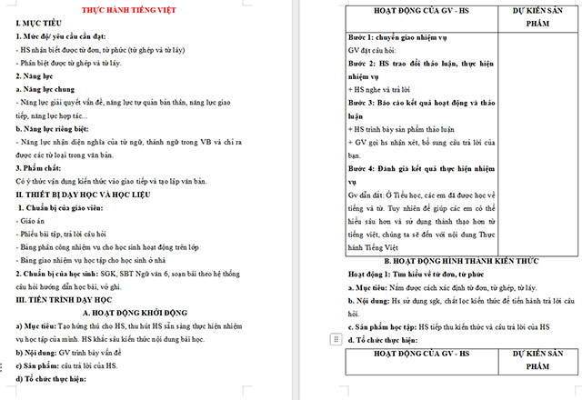 Giáo án Văn 6 Thực hành tiếng Việt