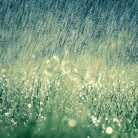 Bài thơ Một mình trong mưa