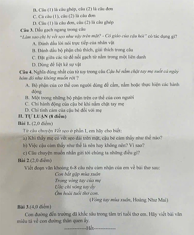 Đề thi vào lớp 6 môn Tiếng Việt trường THCS Đào Sư Tích