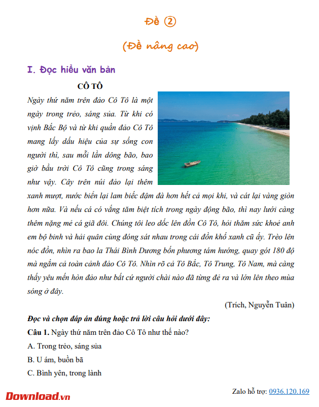 CD3 Tuan 5 3*649756