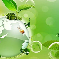 Giáo án PowerPoint Khoa học 5 Bài 29: Tác động của con người đến môi trường