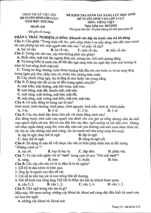 Đề thi vào lớp 6 môn Tiếng Việt CLC Việt Yên, Bắc Giang