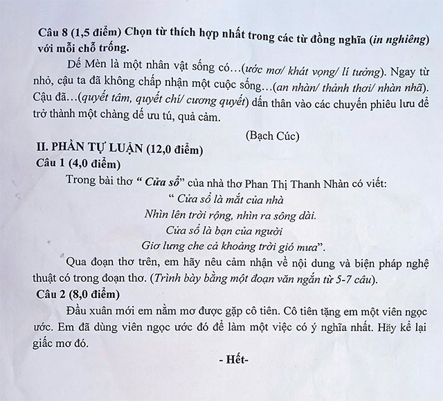 Đề thi vào lớp 6 môn Tiếng Việt trường THCS Nhữ Bá Sỹ