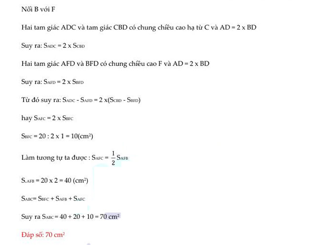 Đáp án đề thi vào lớp 6 môn Toán Nguyễn Tất Thành
