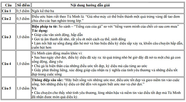Đáp án đề thi vào 10 môn Văn Thái Bình năm 2025