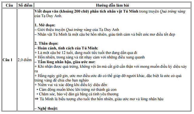 Đáp án đề thi vào 10 môn Văn Thái Bình năm 2025
