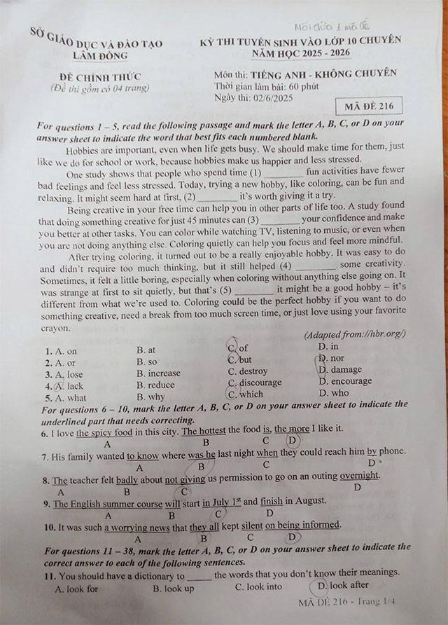 Đề thi vào lớp 10 môn Tiếng Anh THPT Chuyên Lâm Đồng