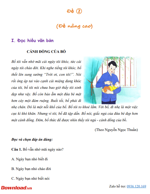 CTST2 Tuan 32 3*652379