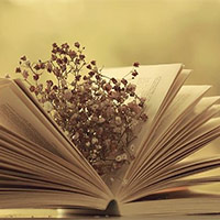 Đề thi vào lớp 6 môn Toán trường THCS Thanh Xuân năm 2025 - 2026