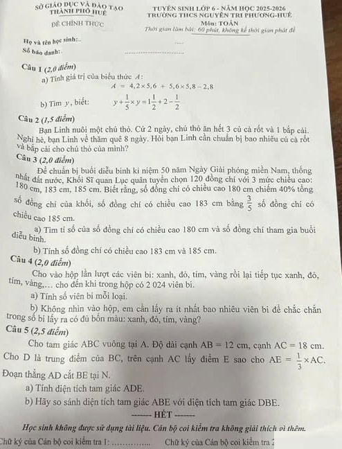 Đề thi vào lớp 6 môn Toán Nguyễn Tri Phương 2025