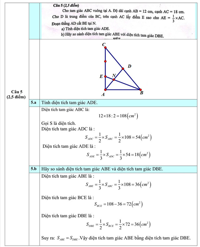 Đáp án đề thi vào lớp 6 môn Toán Nguyễn Tri Phương 2025