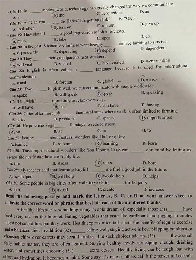 Đề thi vào lớp 10 môn Anh Tây Ninh năm 2025