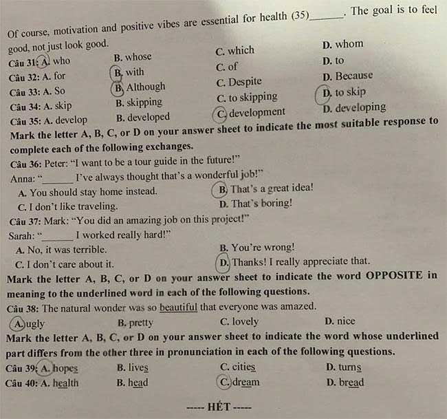 Đề thi vào lớp 10 môn Anh Tây Ninh năm 2025