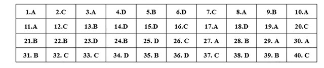 Đề thi vào lớp 10 môn Anh Tiền Giang năm 2025