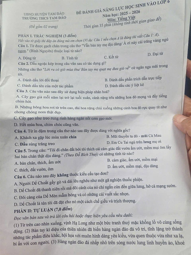 Đề thi vào lớp 6 môn Tiếng Việt trường THCS Tam Đảo