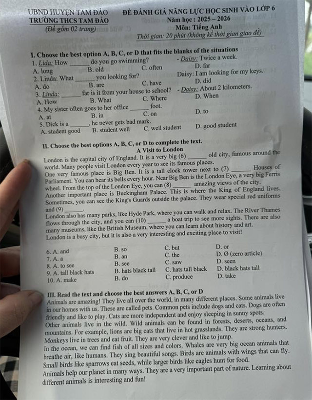 Đề thi vào lớp 6 môn Tiếng Anh trường THCS Tam Đảo