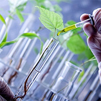 Đề thi thử THPT Quốc gia năm 2025 môn Sinh học trường THPT Chuyên Biên Hòa, Hà Nam