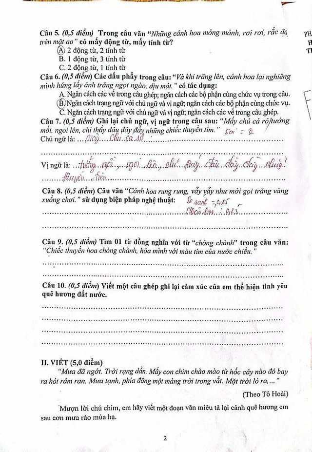 Đề thi vào lớp 6 môn Tiếng Việt THCS Phan Bội Châu