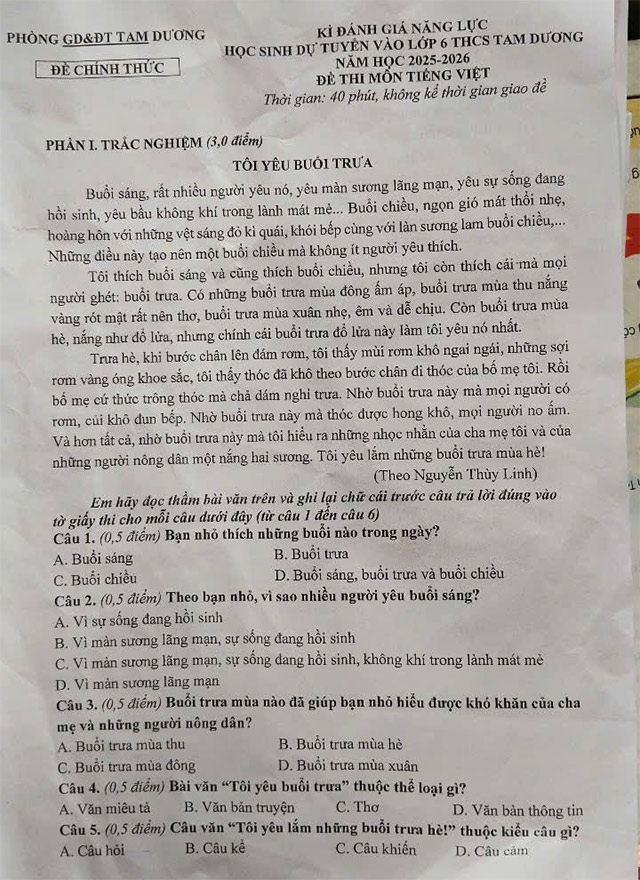 Đề thi vào lớp 6 môn Tiếng Việt trường THCS Tam Dương