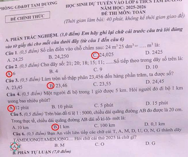 Đề thi vào lớp 6 môn Toán trường THCS Tam Dương