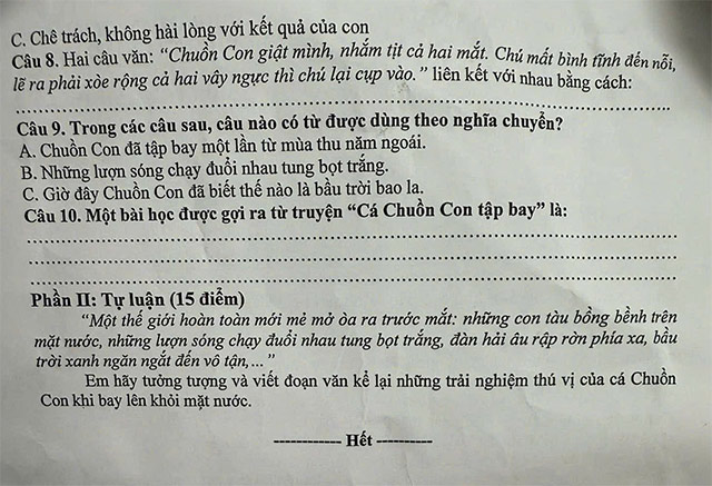 Đề thi vào lớp 6 môn Tiếng Việt trường THCS Trọng điểm Hải Dương