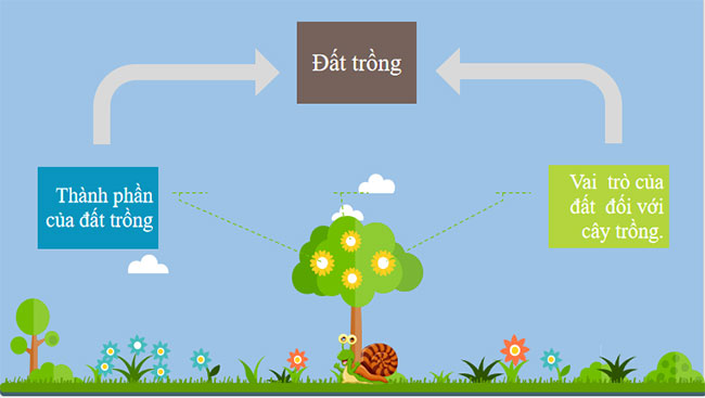 Bai 2 Cong nghe 7 6*654935